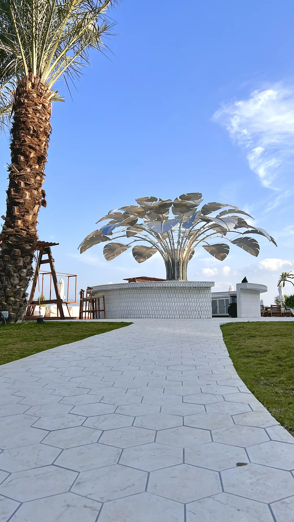 Bird of Paradise — a silver monstera canopy over the bar on the Sea of Galilee shore.