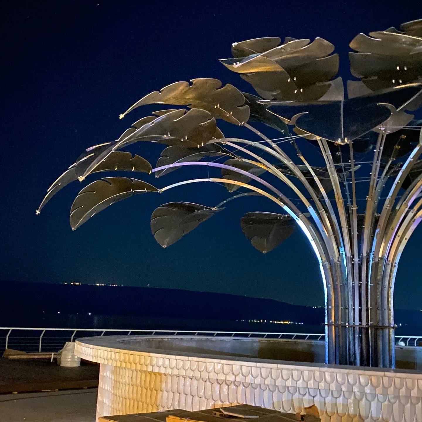 Bird of Paradise at night — the steel crown from below, over the scale-clad bar, the far shore lit across the water.