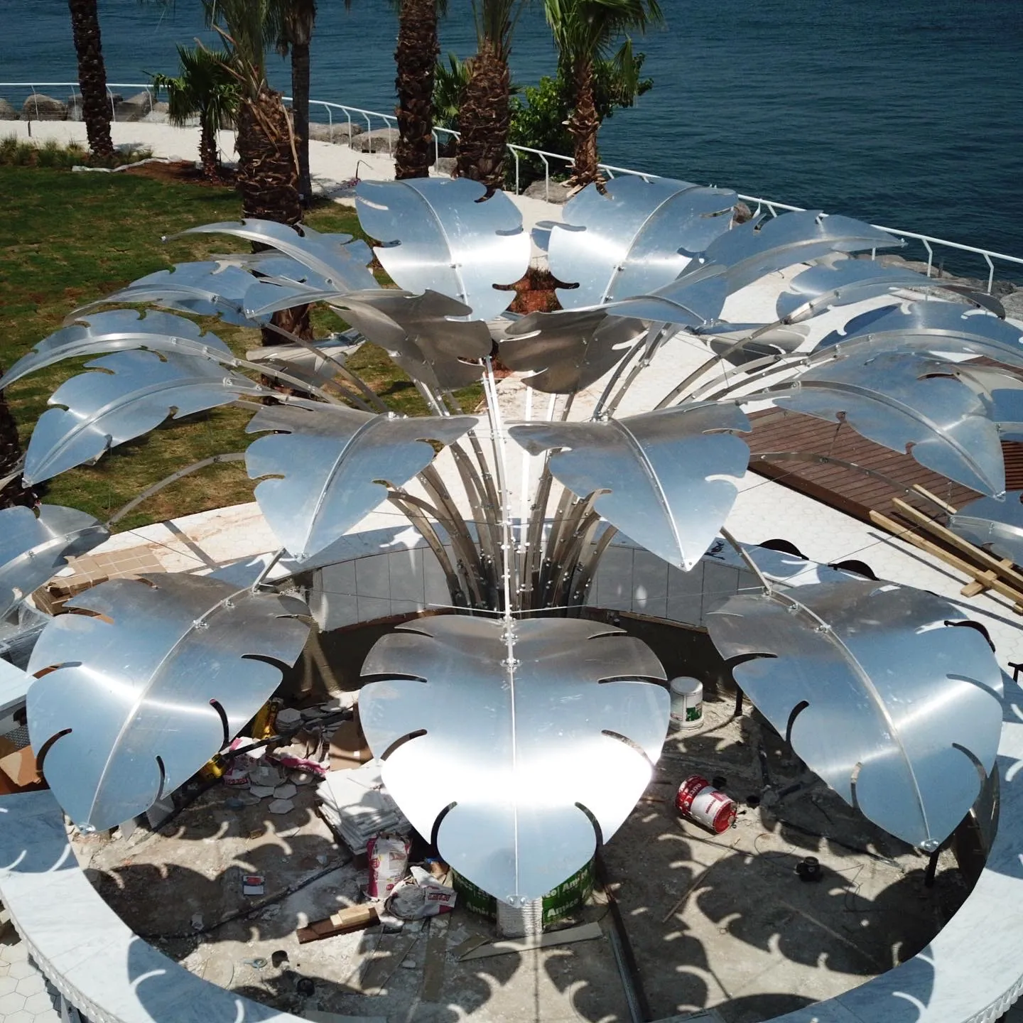 From the air — the silver crown fully leafed between the palms, open water beyond the rail.