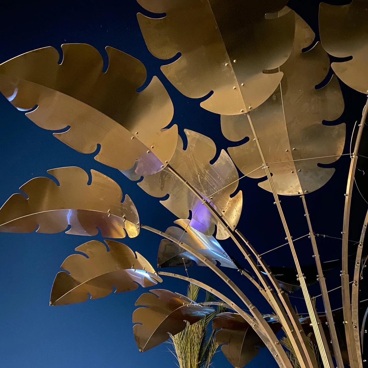 Inside the canopy at night — leaves warm under the site lights, violet accents in the crown.