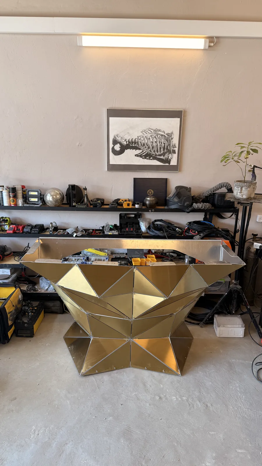 Tri Rose — work photograph.
